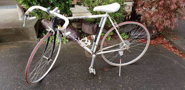 日本盧德摩托車代購與二手市場(chǎng)指南 價(jià)格、渠道與購買注意事項(xiàng)